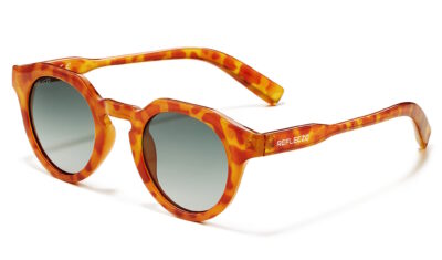 Stacked from 6 images. Method=B (R=8,S=4)